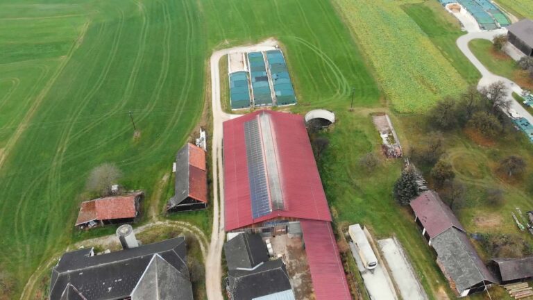Klimafit im Stall: Wie der Klimawandel Tiergesundheit und Stallbau verändert
